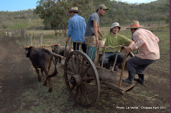 Efficiente autobus per speleo alla Colonia Florida